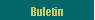 Buletin